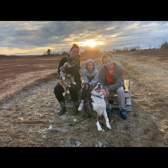 Meet your Posher, Sophie - Picture 1 of 1